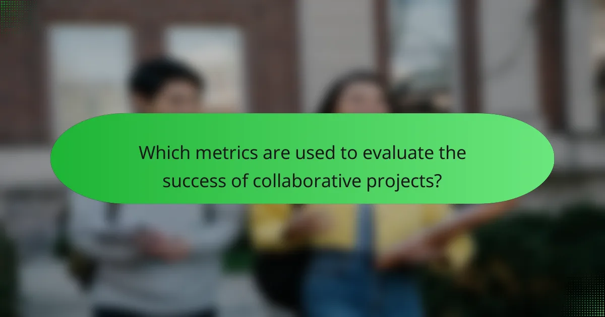 Which metrics are used to evaluate the success of collaborative projects?